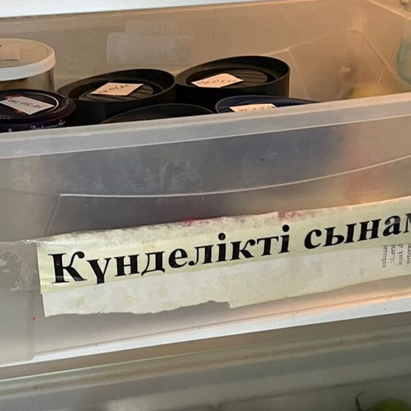 WhatsApp Image 2025-05-12 at 10.33.07 (1)