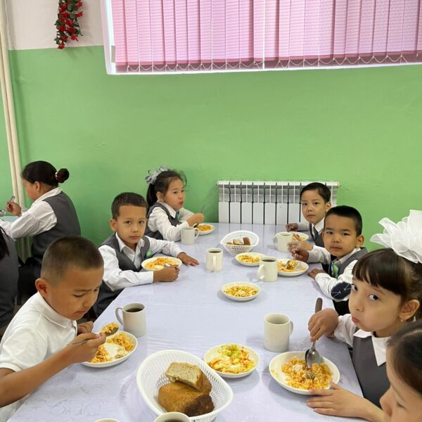 WhatsApp Image 2025-05-12 at 10.37.29